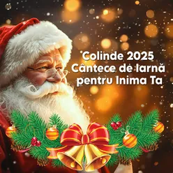 Colinde 2025 Colaj Vibe de Crăciun Cântece Tradiționale din Bihor