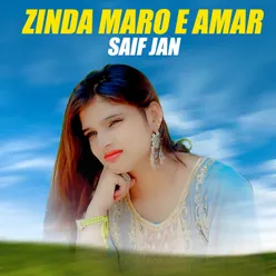 Zinda Maro E Amar