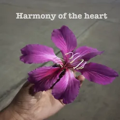 Harmony of the Heart