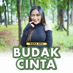 Budak Cinta