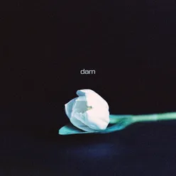 Dam