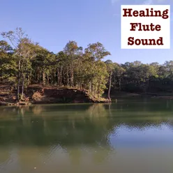 Healing Flute Sound