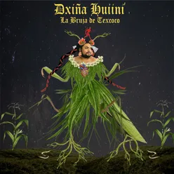 Dxiña Huiini´