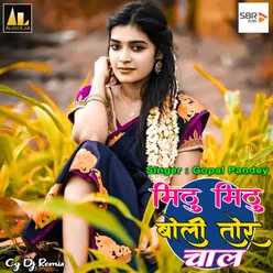 Mithu Mithu Boli Tor Chaal-Cg Dj Remix