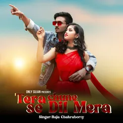 Tera Chune Se Dil Mera