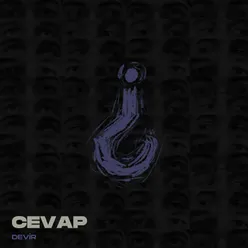 Cevap