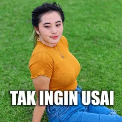 Tak Ingin Usai