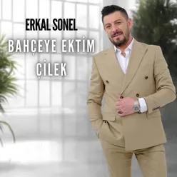 Bahçeye Ektim Çilek