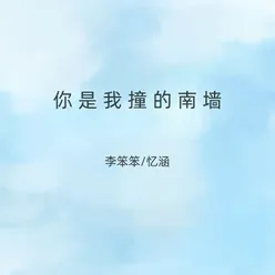 你是我撞的南墙