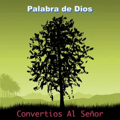 Convertios Al Señor