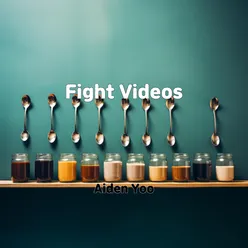 Fight Videos