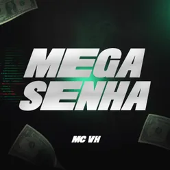 Mega Senha