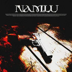 Namlu