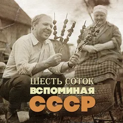 Одинокая гармонь