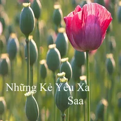 Những Kẻ Yêu Xa 2