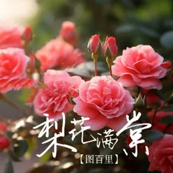 梨花满棠