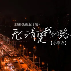 无人清楚我的路(似那孤山起了雾（空拍）)