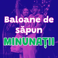 BALOANE DE SAPUN