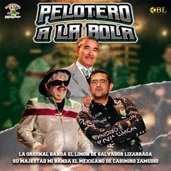 Pelotero A La Bola