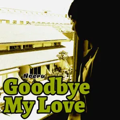 Goodbye My Love