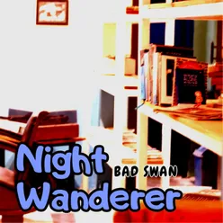 Night Wanderer