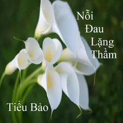 Nỗi Đau Lặng Thầm 1