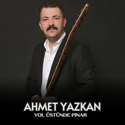 Yol Üstünde Pınar