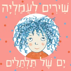 ים של תלתלים