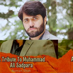 A Tribute To Muhammad Ali Sadpara