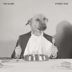 Street Dog