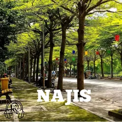 Najis