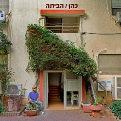 שקרים לבנים