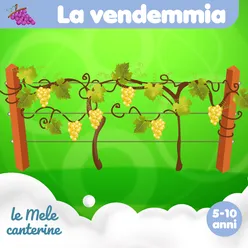 La vendemmia