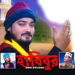 Mon Amar Bole Sudhu