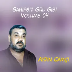 Sahipsiz Gül Gibi, Vol. 4