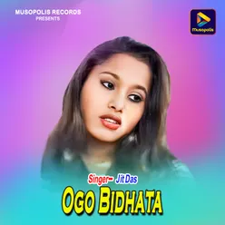 Ogo Bidhata