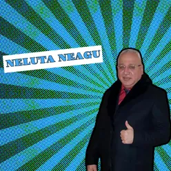 La nunta fetitei mele