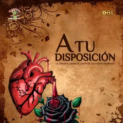 A Tu Disposición