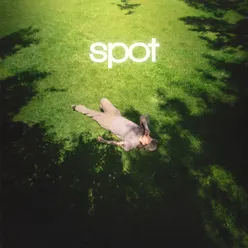 Spot