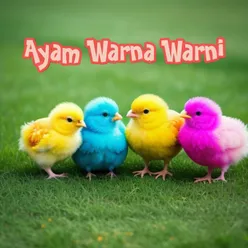 Ayam Warna Warni