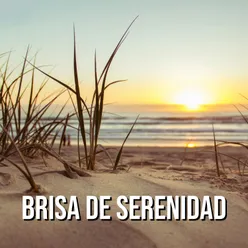 Brisa de Serenidad