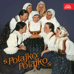 Polajko, polajko