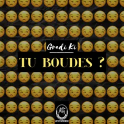 Tu boudes