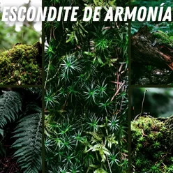 Escondite de Armonía