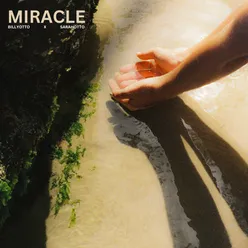 Miracle - Reimagined