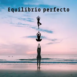 Equilibrio perfecto