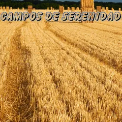 Campos de Serenidad