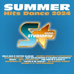 SUMMER HITS DANCE 2024