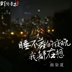 睡不着的夜晚我都在想