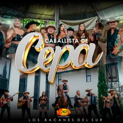 Caballista de Cepa